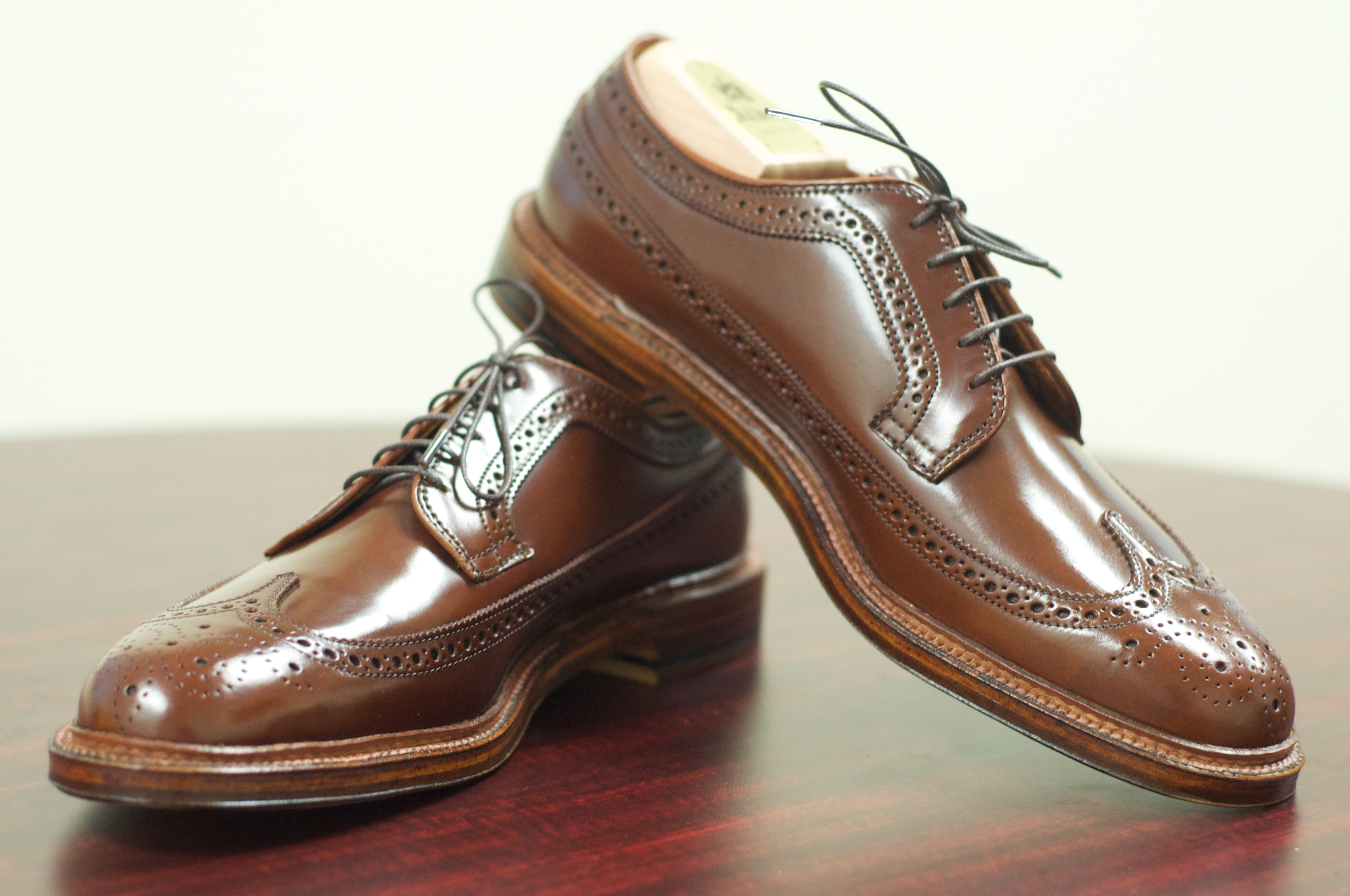 Alden shell 2024 cordovan longwings