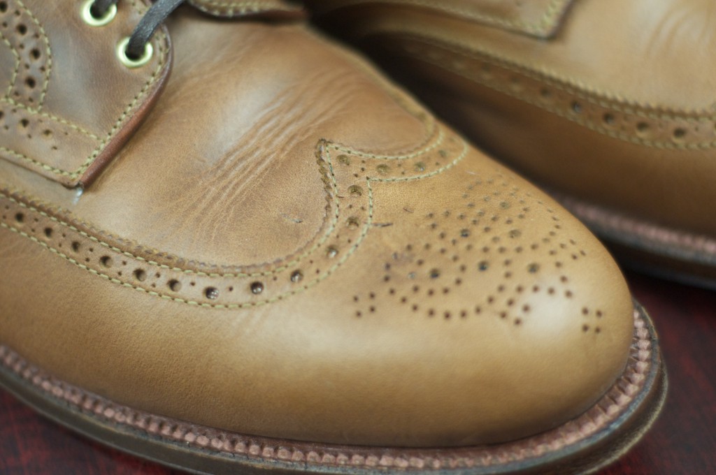 Alden Natty CXL Wingtip Boot - For Sale - 7