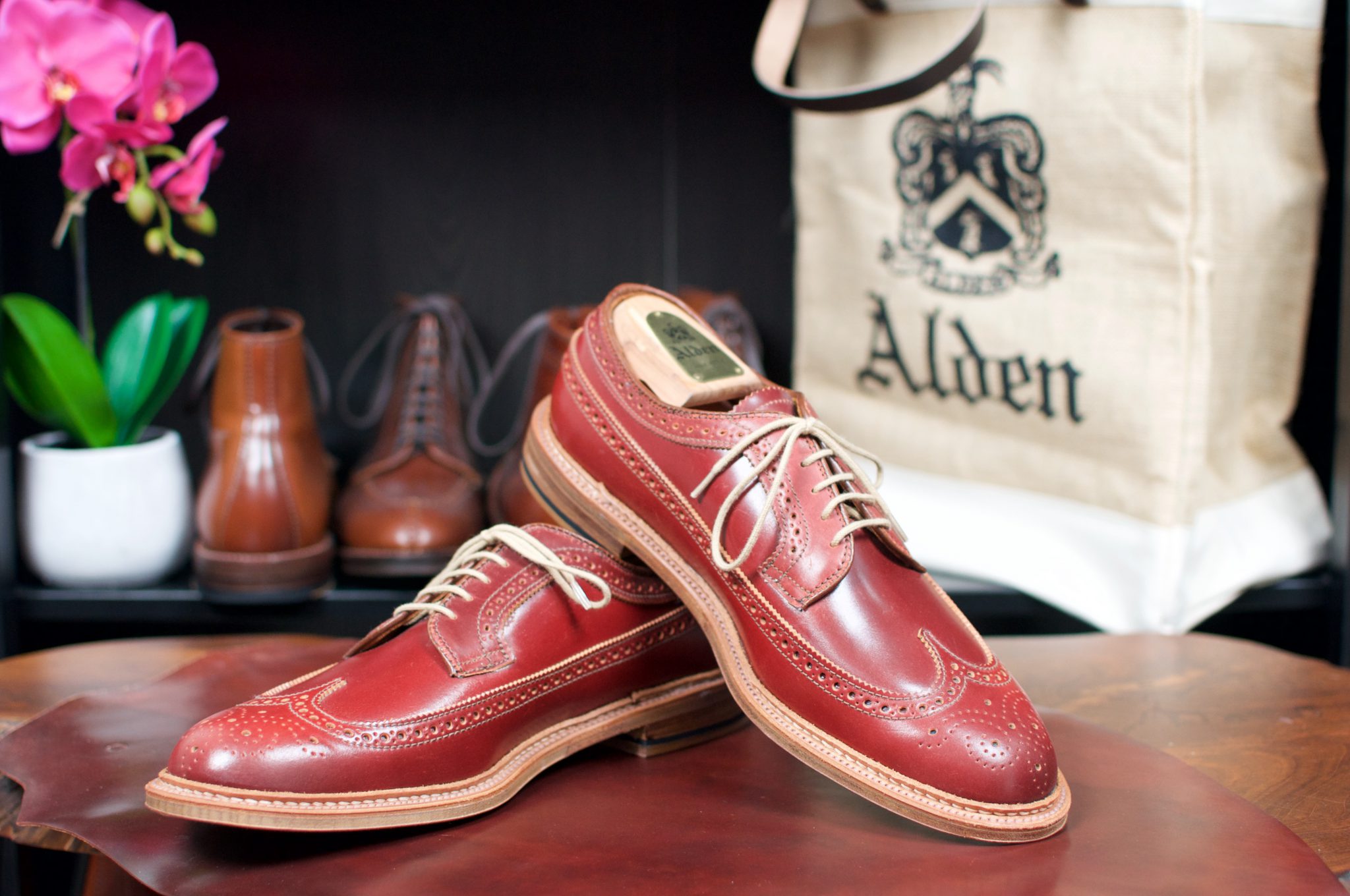 Special Shell Cordovan Alden of San Diego