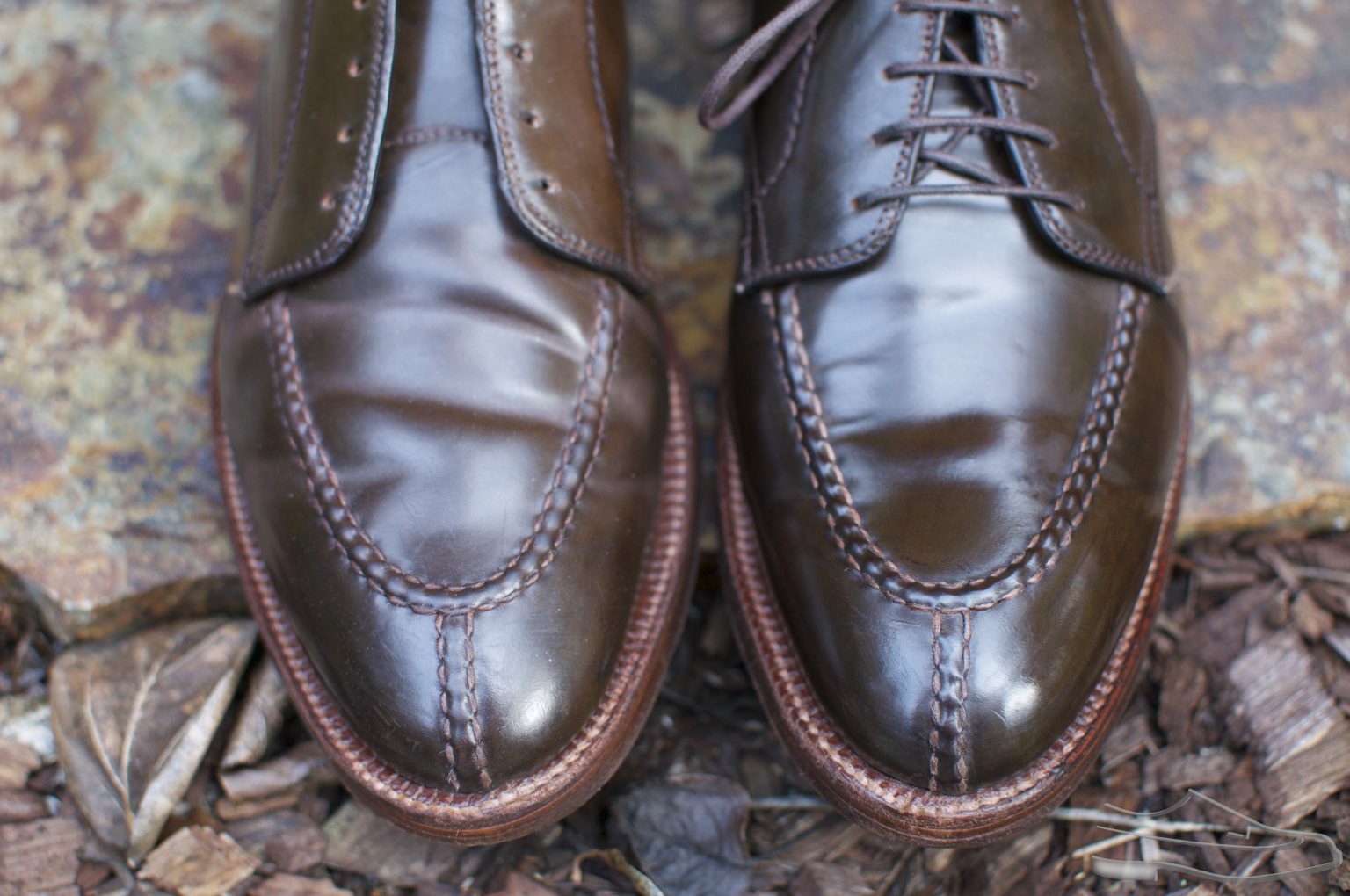 alden cordovan chukka