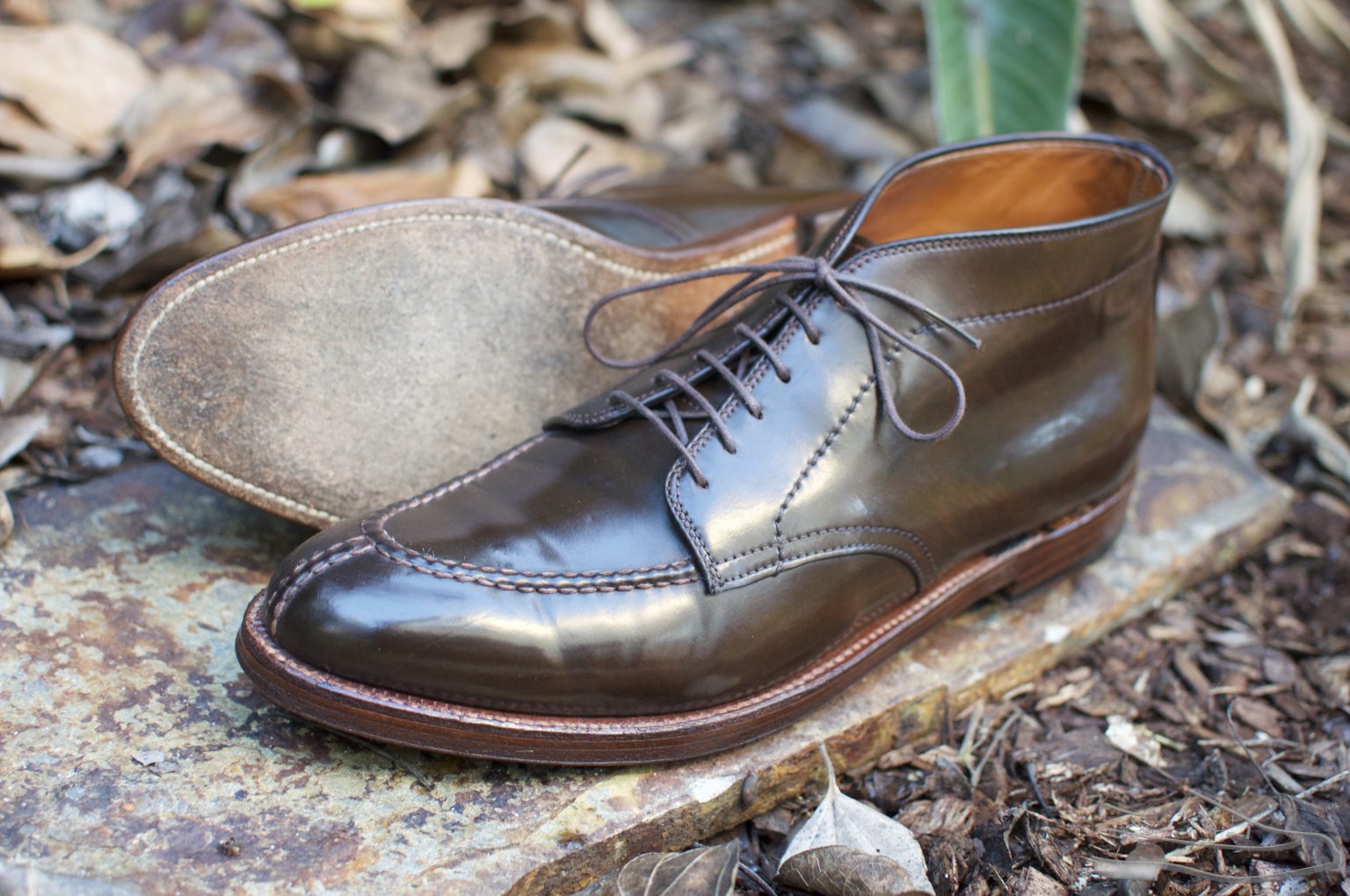 alden cordovan chukka