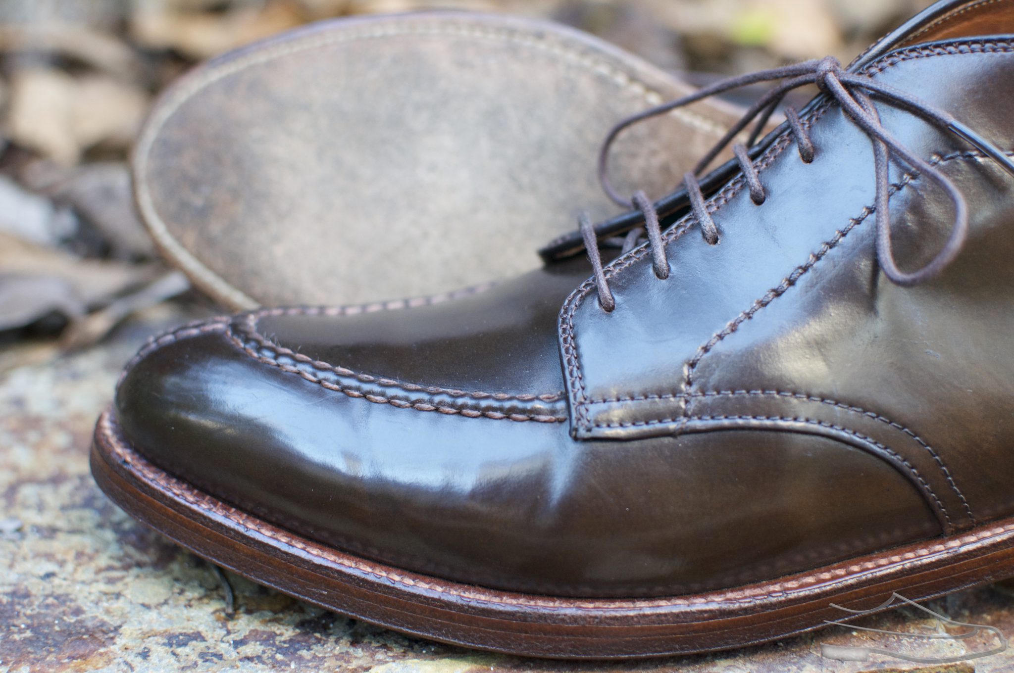 alden cordovan chukka
