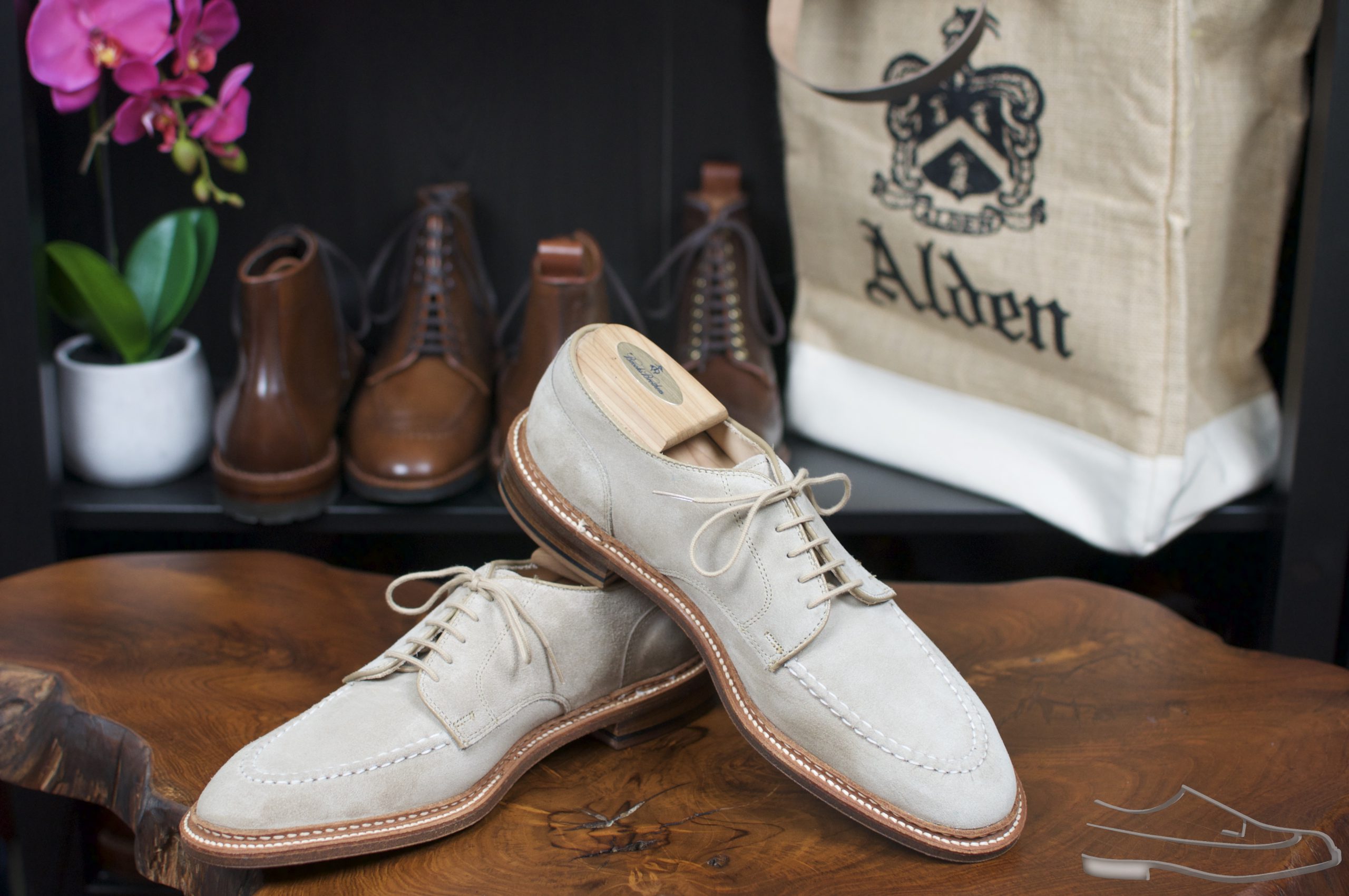 Alden store suede blucher