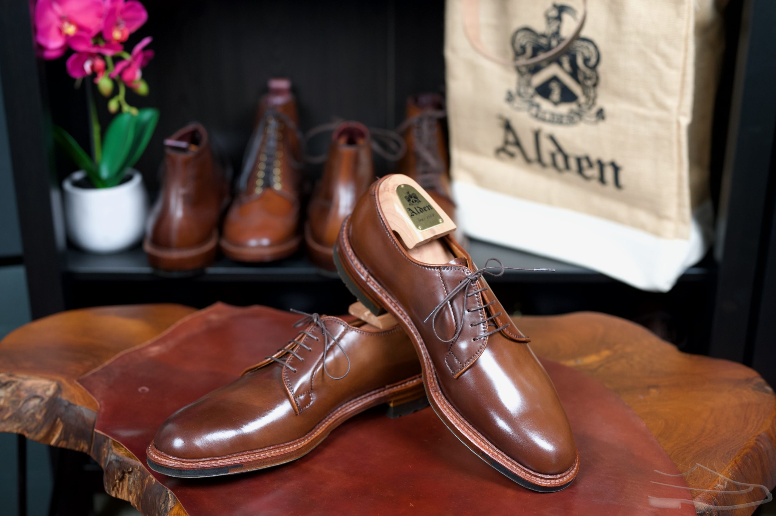 Alden Ravello Shell Cordovan PTBs