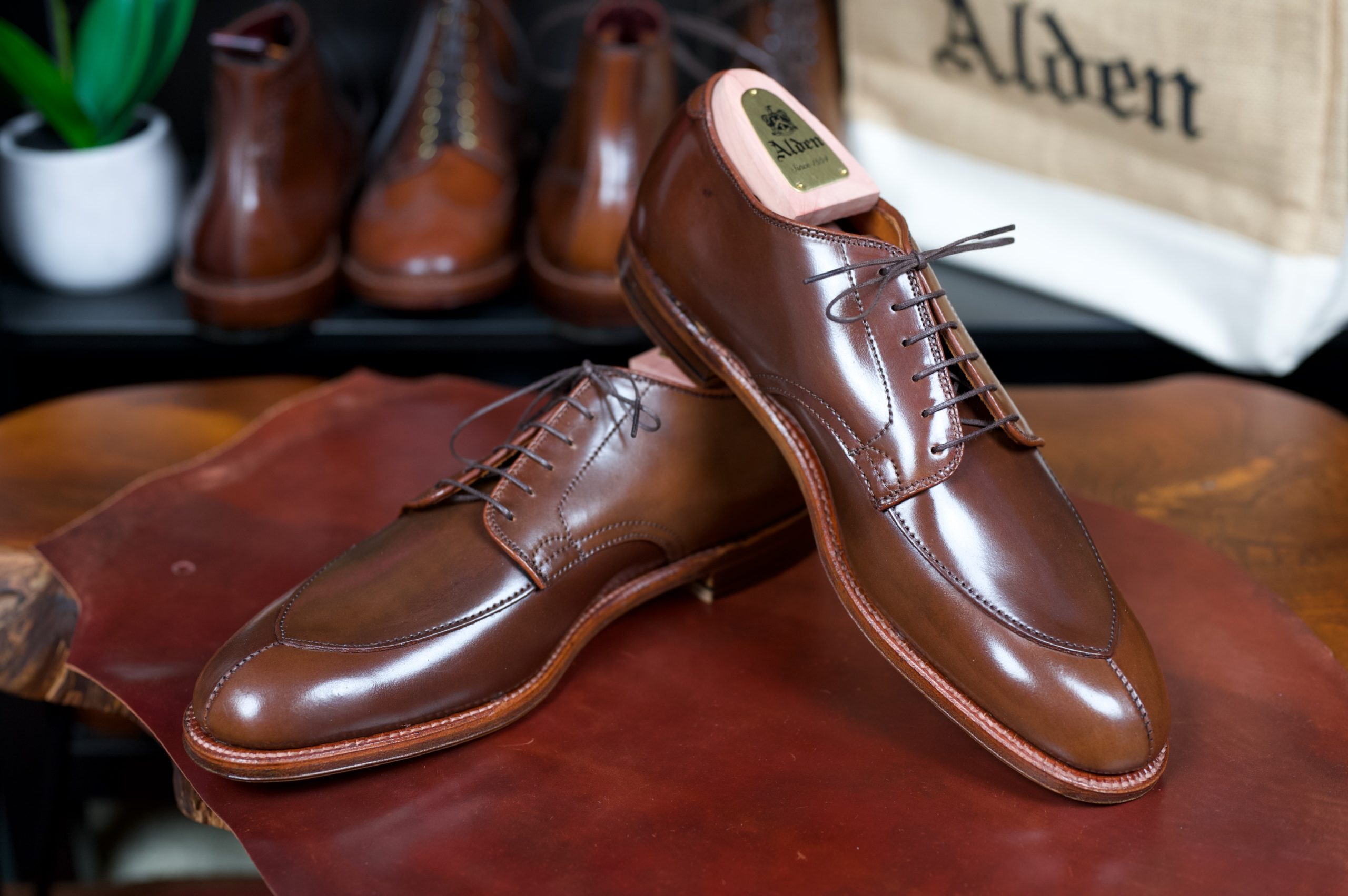 Alden Ravello Shell Cordovan V-Tip Bluchers